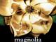 Filmas Magnolia 2000 Kaunas - parduoda, keičia (1)