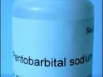 Daiktas Nembutal Pentobarbital Sodium  for sale without prescription