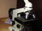 Daiktas Mikroskopas