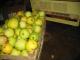 Ekologiški  obuoliai „paprastasis  antaninis“ 10 kg Vilnius - parduoda, keičia (2)