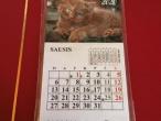 Daiktas 2020 metų kalendorius su magnetuku katinukas