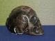 Keramikine gipsine nedidele kaukole pelenine Kėdainiai - parduoda, keičia (7)
