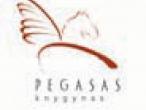 Daiktas Pegaso cekis 30lt