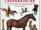 Ieškau apie arklius knygų Šiauliai - parduoda, keičia (3)