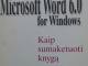 Microsoft Word 6,0 for Windows Vilnius - parduoda, keičia (1)