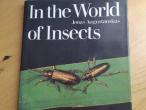 Daiktas knyga fotoalbumas Jonas Augustauskas - in the world of insects