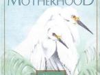 Daiktas The Tao of Motherhood (family & childcare)
