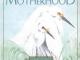 Daiktas The Tao of Motherhood (family & childcare)