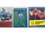 Daiktas Knyga "Kambarinės lapinės gėlės" ir rusiškų atvirukų apie gydomuosius augalus rinkinys (Žydinčios gėlės - nebėra)