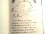 Daiktas vaikiška knygelė Violija - violetinė fėja