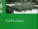 Ieskau knyos apie Gelvonu miesteli Vilnius - parduoda, keičia (1)