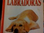 Daiktas Labradoras