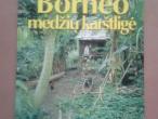Daiktas Borneo medžių karštligė: publicistika