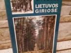 Daiktas Lietuvos giriose  1,50€