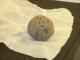 Meteoritas Ignalina - parduoda, keičia (4)