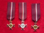 Daiktas medaliai-kryžiai J. Krasickiego