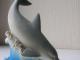 Delfinu megėtojams :) Klaipėda - parduoda, keičia (1)