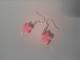 Rožiniai auskariukai Kėdainiai - parduoda, keičia (1)