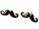 Populiarūs į ūsus panašus auskarai Palanga - parduoda, keičia (1)