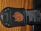 Daiktas grandinele 585 praba pynimas  bismarkas