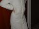baltas ilgas paltas Panevėžys - parduoda, keičia (2)