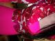 Daiktas Gelėtas švarkiukas!