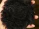 juodos,pūkuotos ausinės žiemai  Klaipėda - parduoda, keičia (1)
