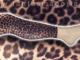 Leopardines timpos Alytus - parduoda, keičia (1)