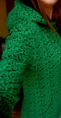 Daiktas Žalias džempas (didinti)