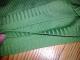 žalias megztinis (M/L) Druskininkai - parduoda, keičia (1)