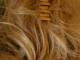 Plaukų šinjonas Rokiškis - parduoda, keičia (3)