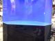 Daiktas Akvariumas akrilinis aptakus  be mėlyno fono