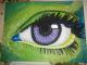 Paveikslas: Chameleono akis ant drobes 80x60cm Panevėžys - parduoda, keičia (1)