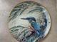 Daiktas Angliška Wegdwood porcelianinė kolekcinė lėkštė su paukčiuku. 