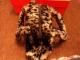 Leopardinis kailinis rankinukas naujas Klaipėda - parduoda, keičia (1)