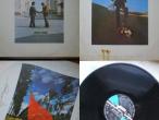 Daiktas Pink floyd vinilas