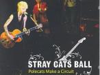 Daiktas Stray Cat Ball - Polecats make a circuit