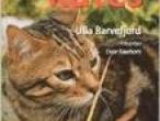 Daiktas Ulla Barvefjord "Viskas apie kates"