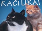 Daiktas Knyga "katės ir kačiukai"