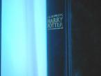 Daiktas Harry Potter And The Deathly Hallows