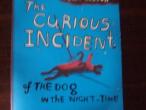 Daiktas The Curious incident of the dog in the night-time (Haddon Mark)