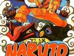 Daiktas Naruto Manga (LT) 1 dalis