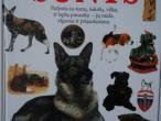 Daiktas Enciklopedija apie šunis