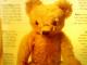 Daiktas The Teddy Bear Encyclopedia