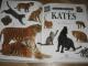 dydele knyga apie kates Kaunas - parduoda, keičia (1)
