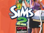 Daiktas The Sims 2: Open For Bussines
