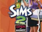 Daiktas The Sims 2: Open for business