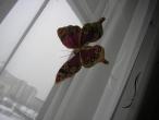 Daiktas Namu dekoracija prisegami drugeliai