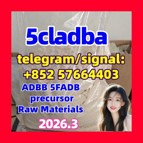 Daiktas 5cladba raw material ADB-A precursor raw 5cladba 5f adb