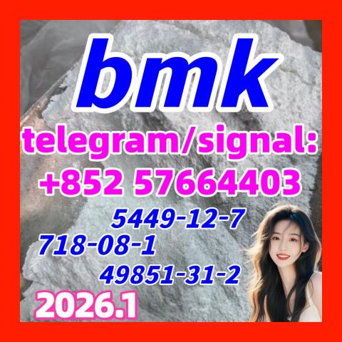 Daiktas BMK 5449-12-7 Powder glycerin acid 49851-31-2  718-08-1 10250-28-7  103-79-7 